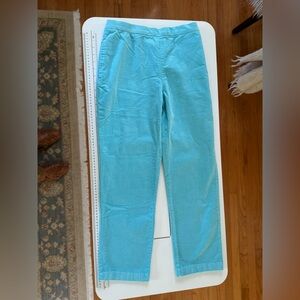 NWT! Women’s "Moon Mist" aqua pull on pincord pants with front pockets size 10p